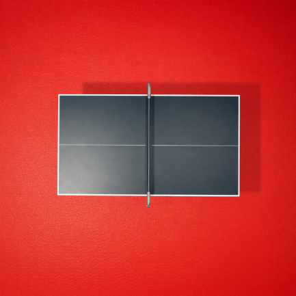 Double Fish PVC Flooring - Red / $48.50 per square meter.  Roll = 21.6sqm